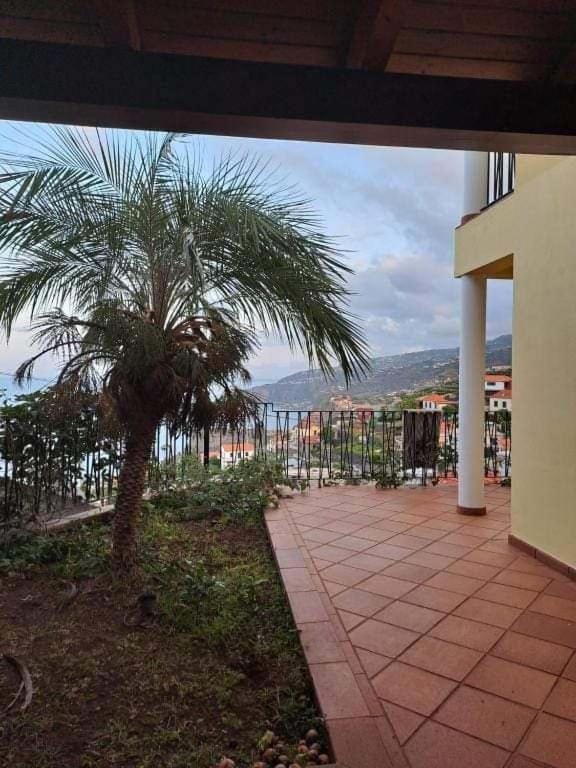 Sea View House Apartman Ribeira Brava Kültér fotó